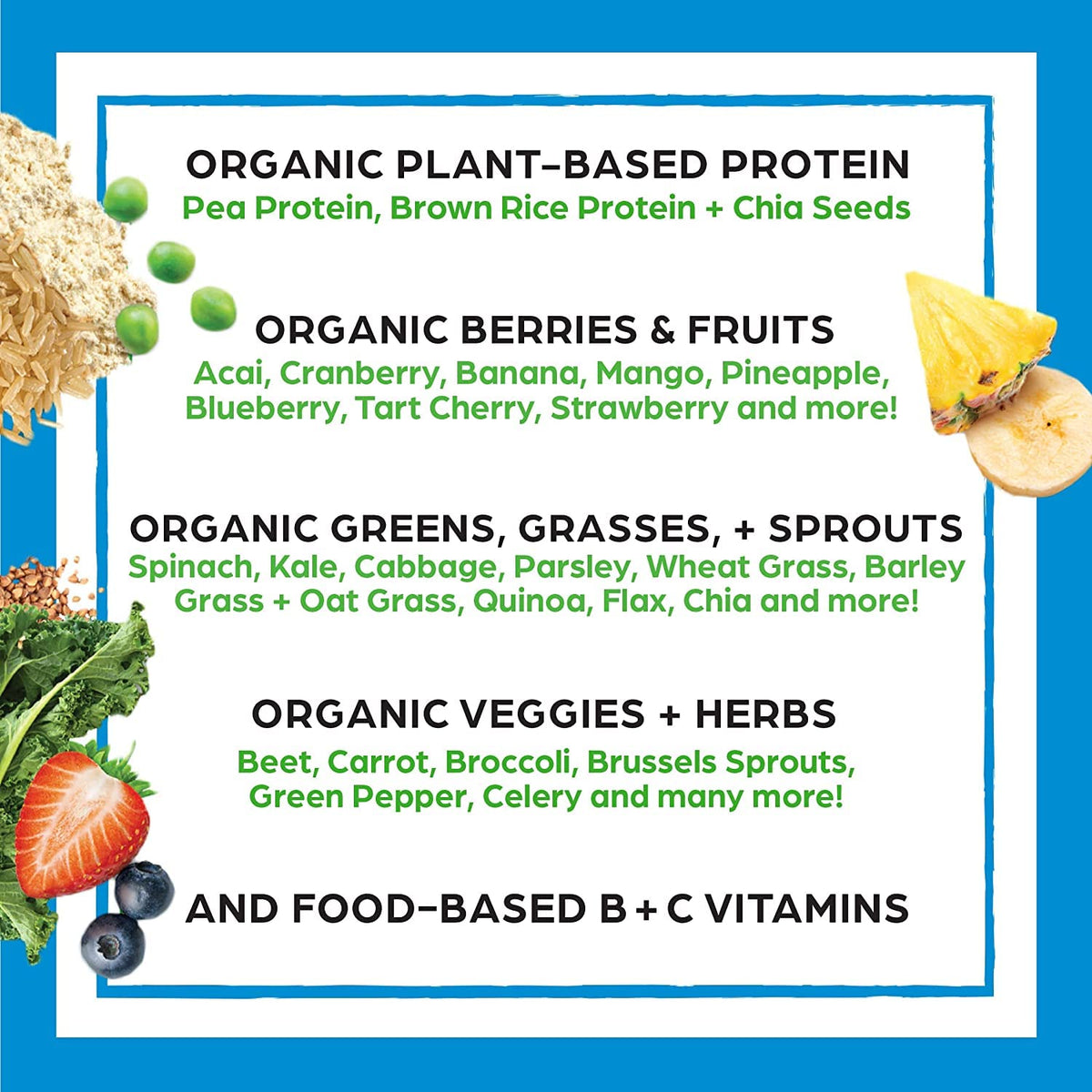 Organic Protein and Greens Powder I614