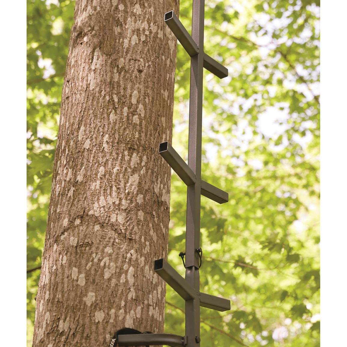 Full Step Climbing Stick Ladder Y851