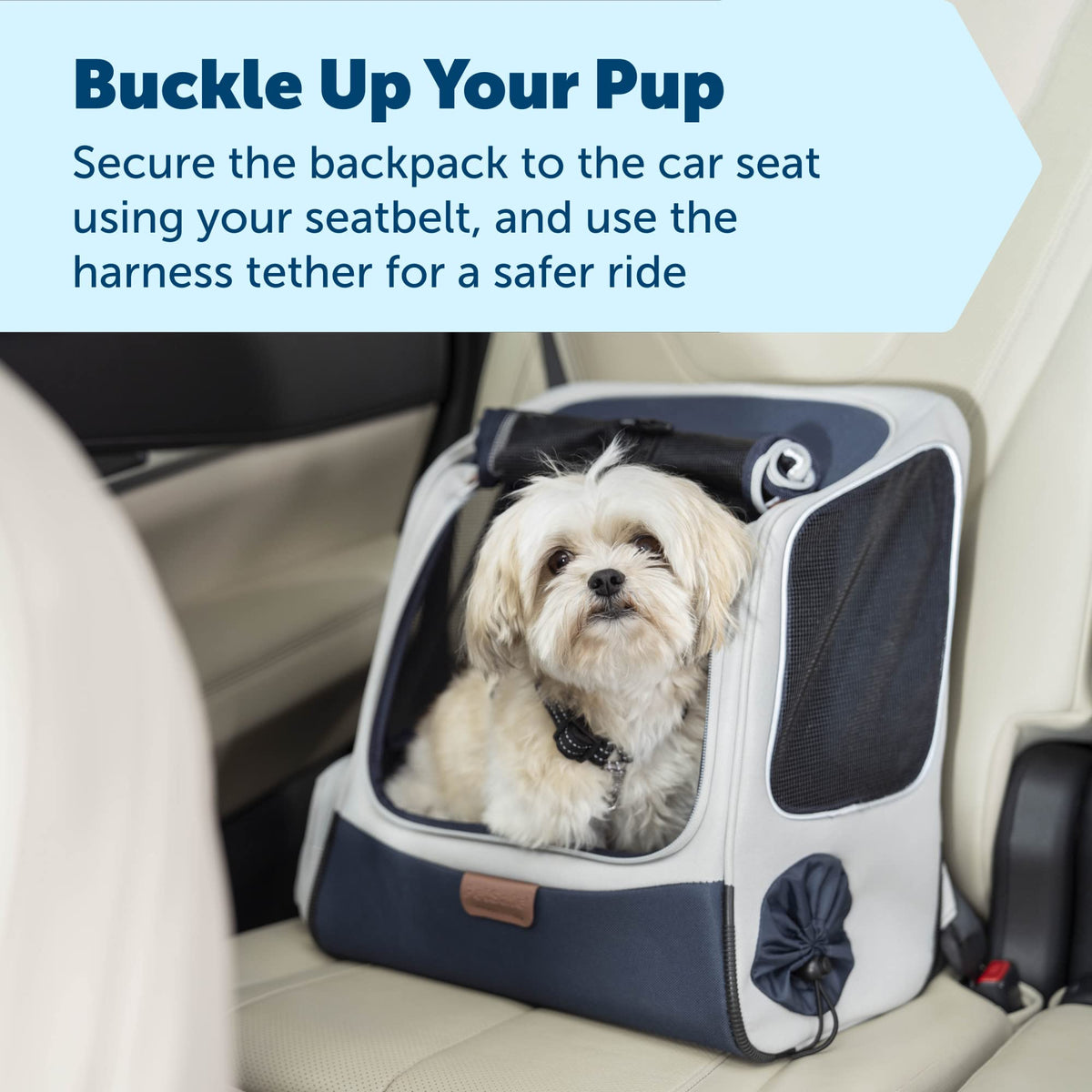 Pet Carrier G397
