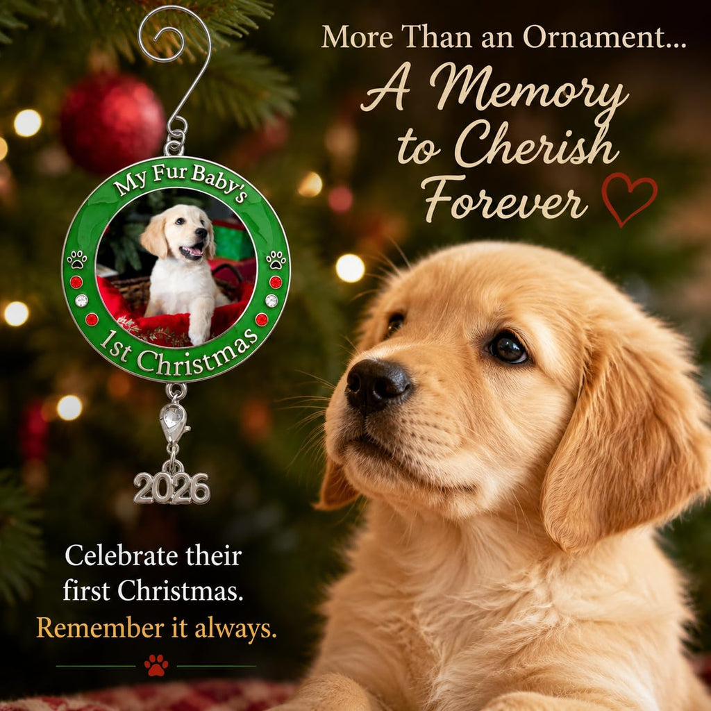 Dog Christmas Photo Ornament 3-Pack 3 Inch R70231