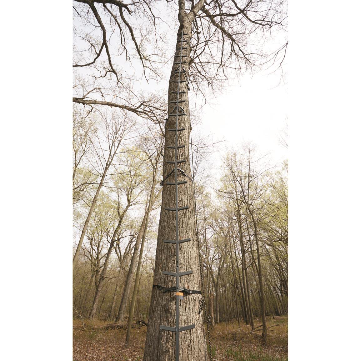 Full Step Climbing Stick Ladder Y851