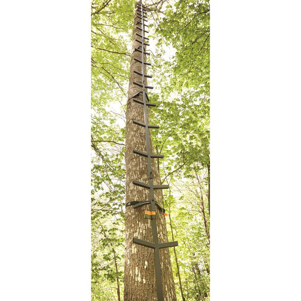Full Step Climbing Stick Ladder Y851