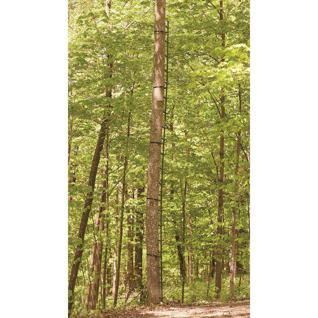 Full Step Climbing Stick Ladder Y851
