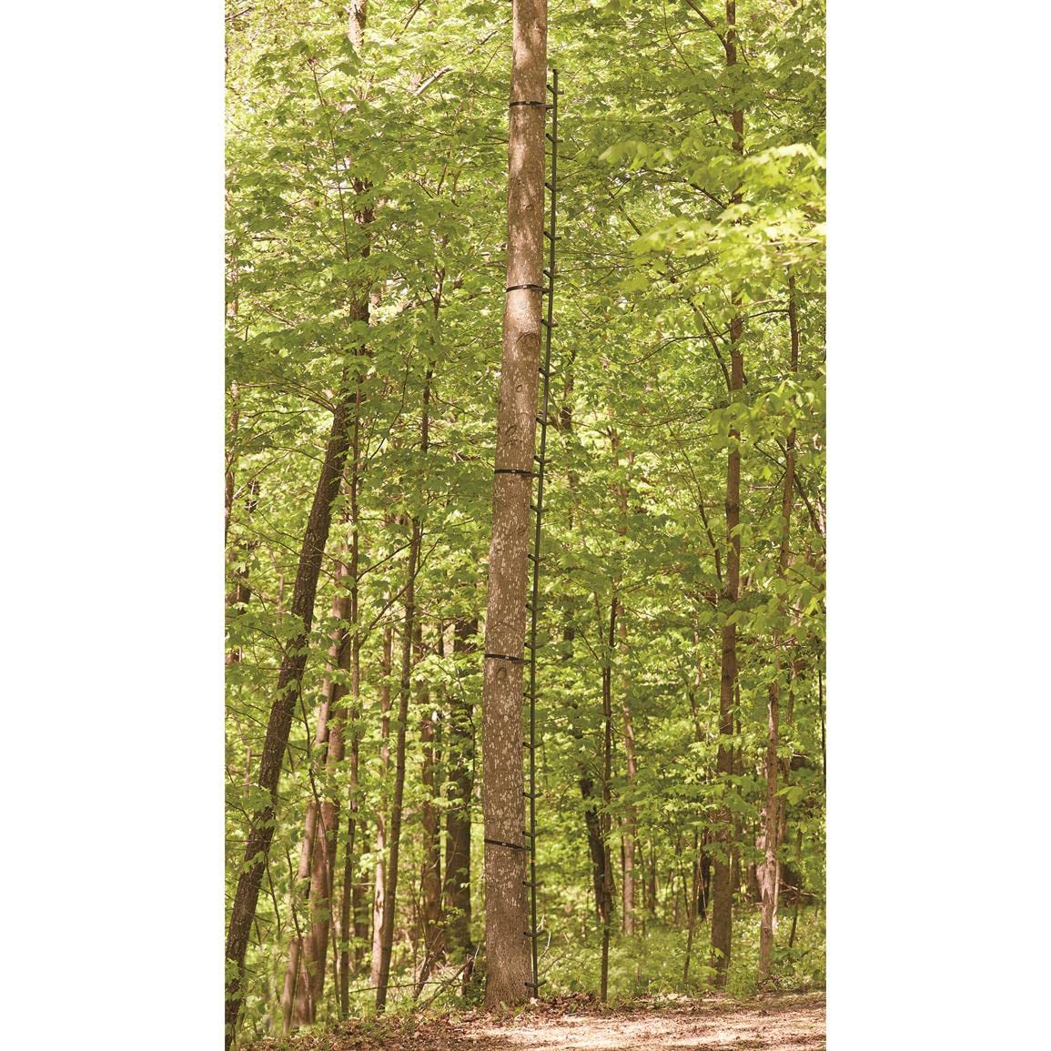 Full Step Climbing Stick Ladder Y851