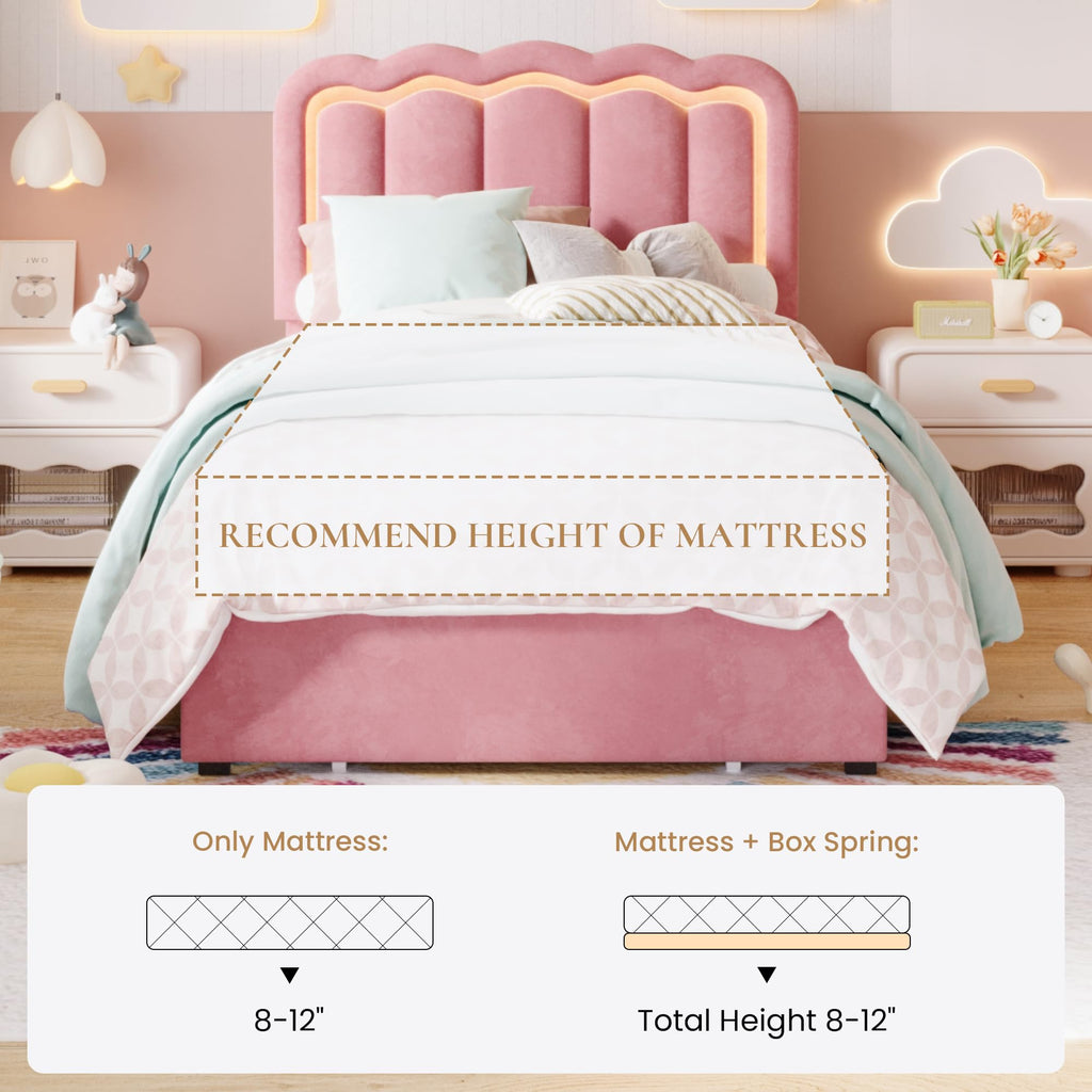 Twin Size Bed Frame with LED Lights and Storage Drawer T787