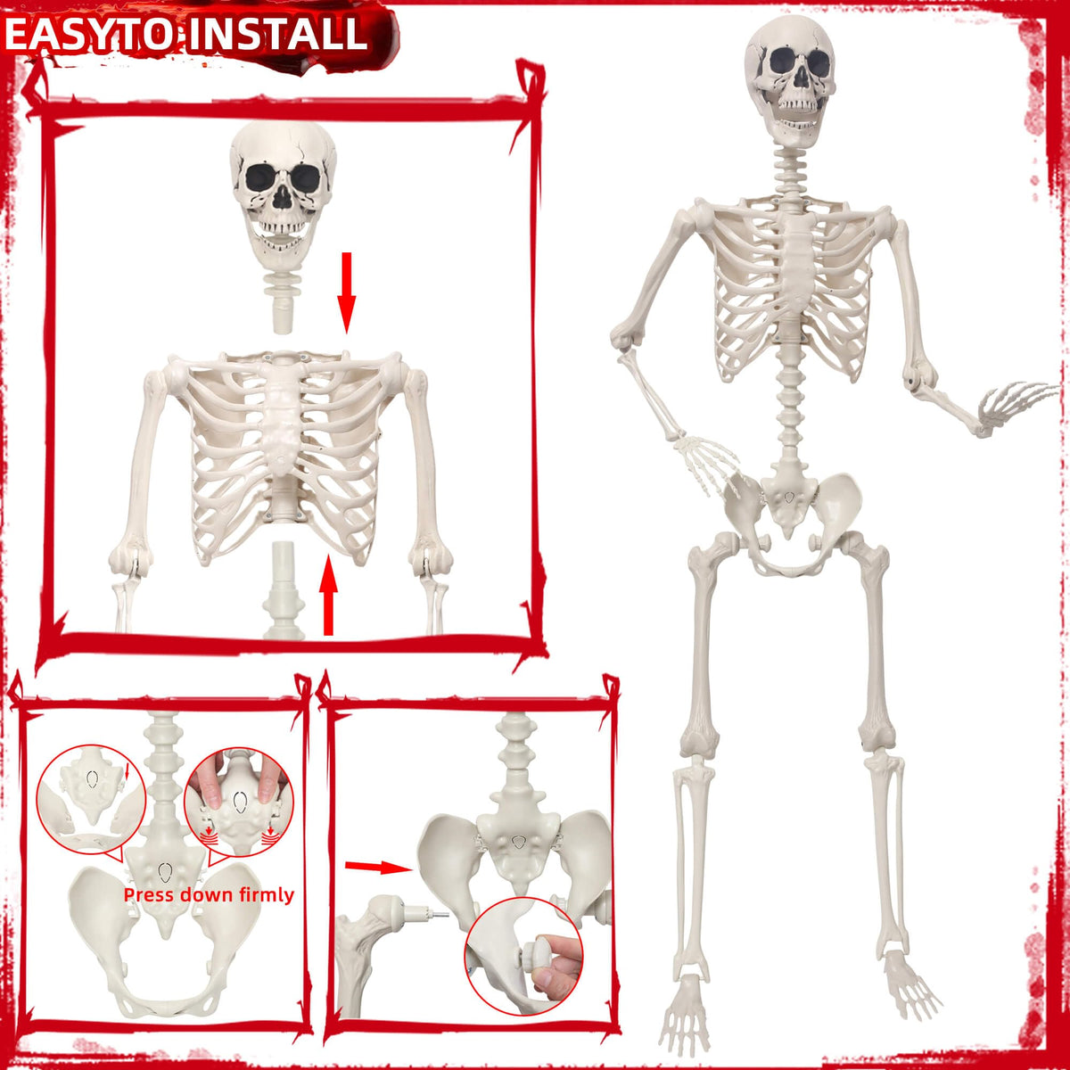 5.4Ft Poseable Skeleton Plastic Human Bones A643830