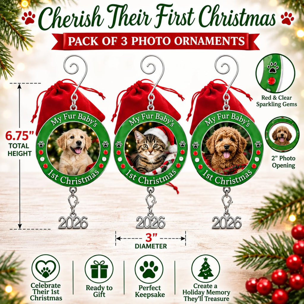 Dog Christmas Photo Ornament 3-Pack 3 Inch R70231
