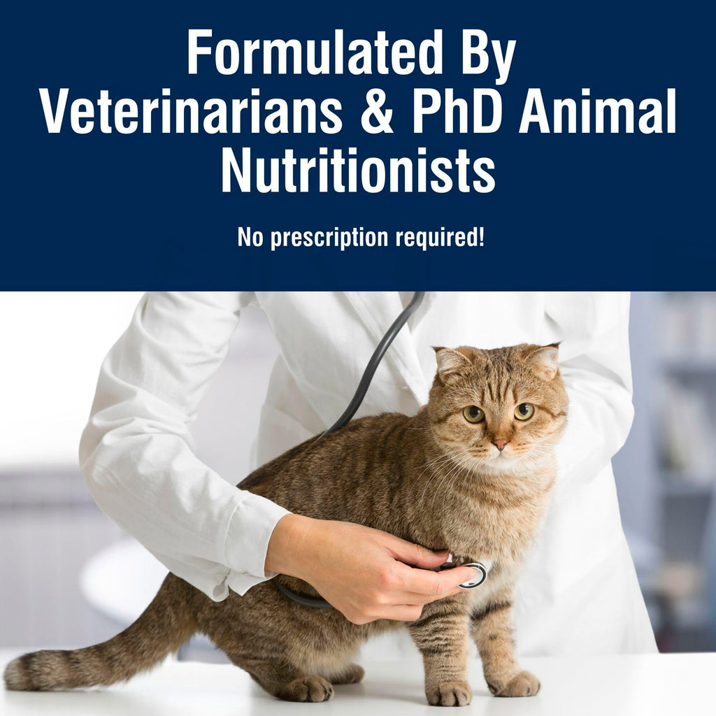 Chicken Dry Cat Food 3.5 lb C798