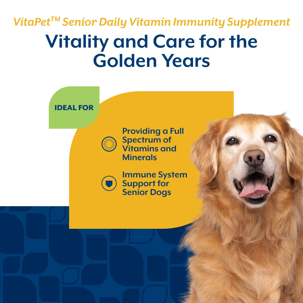Senior Daily Vitamin Dog Supplements 120 Ct I716949