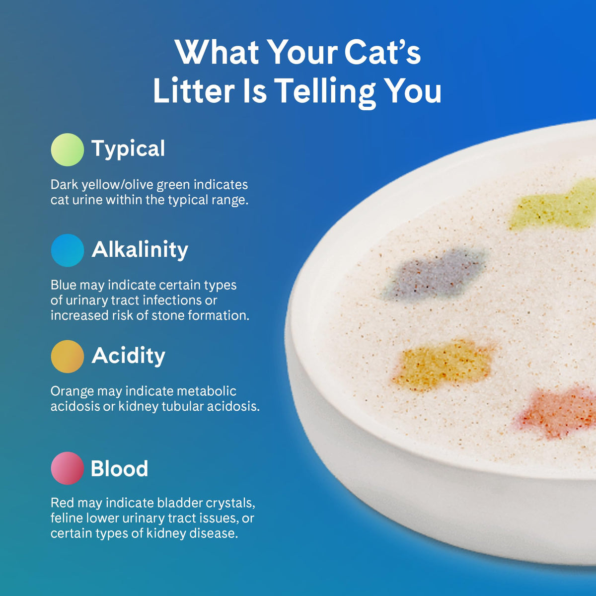 Unscented 6 lb. 2-Pack Cat Litter F473