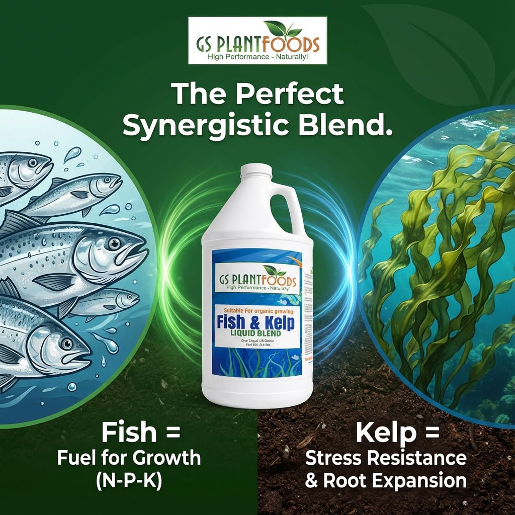 Liquid Fish & Kelp Fertilizer 1 Gallon T313422