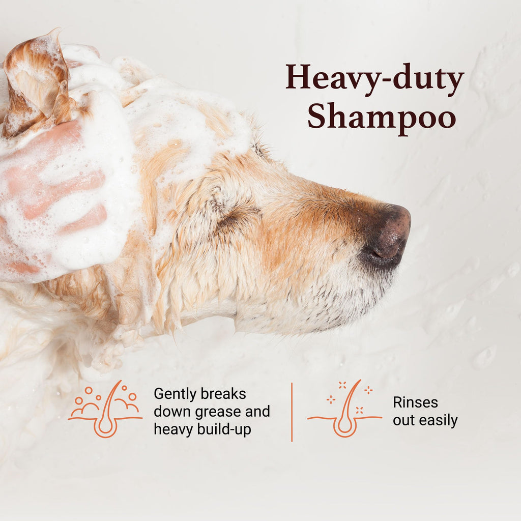 Dog Shampoo Chamomile Extracts 1 GAL D815607