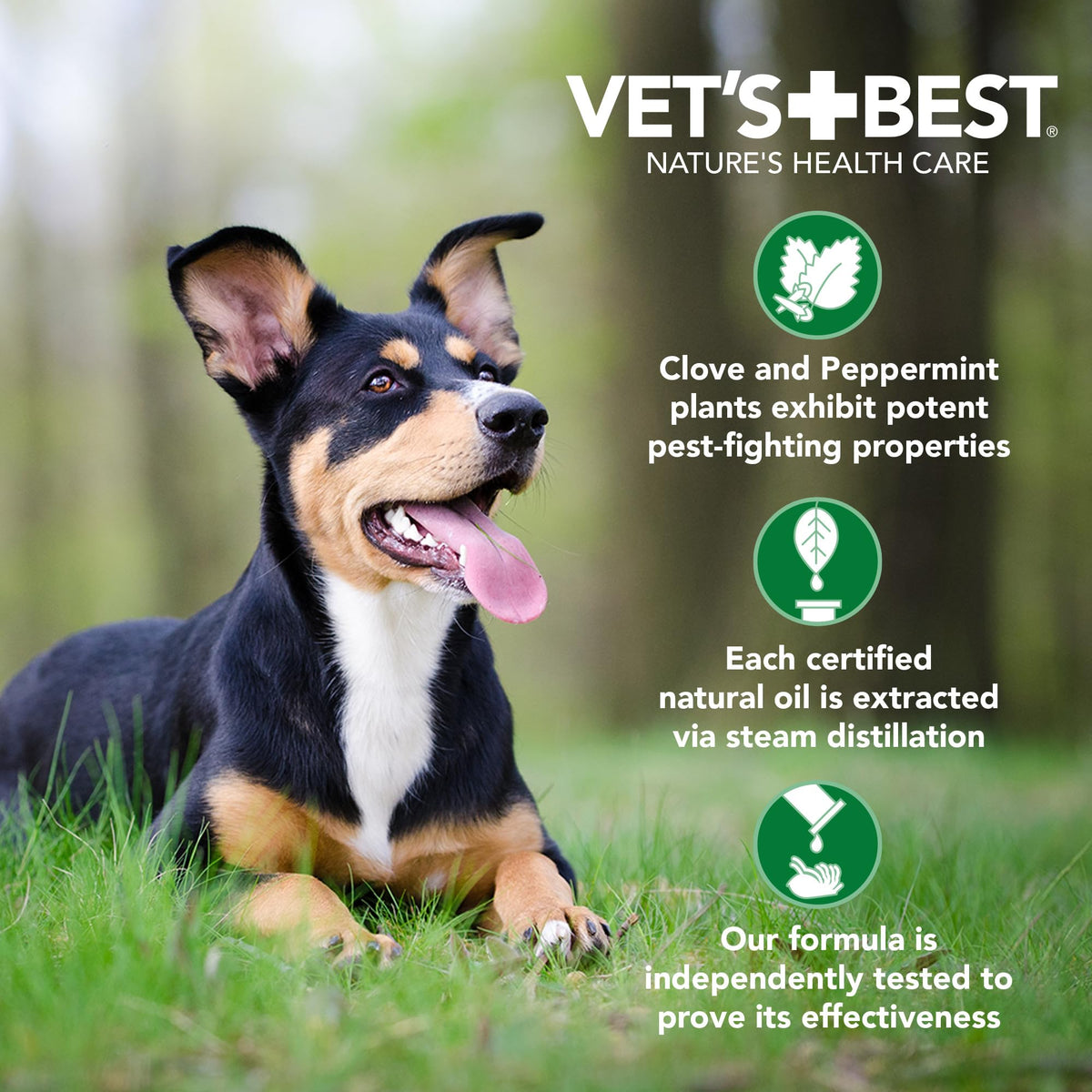 Flea & Tick Shampoo for Dogs 16 oz I9868