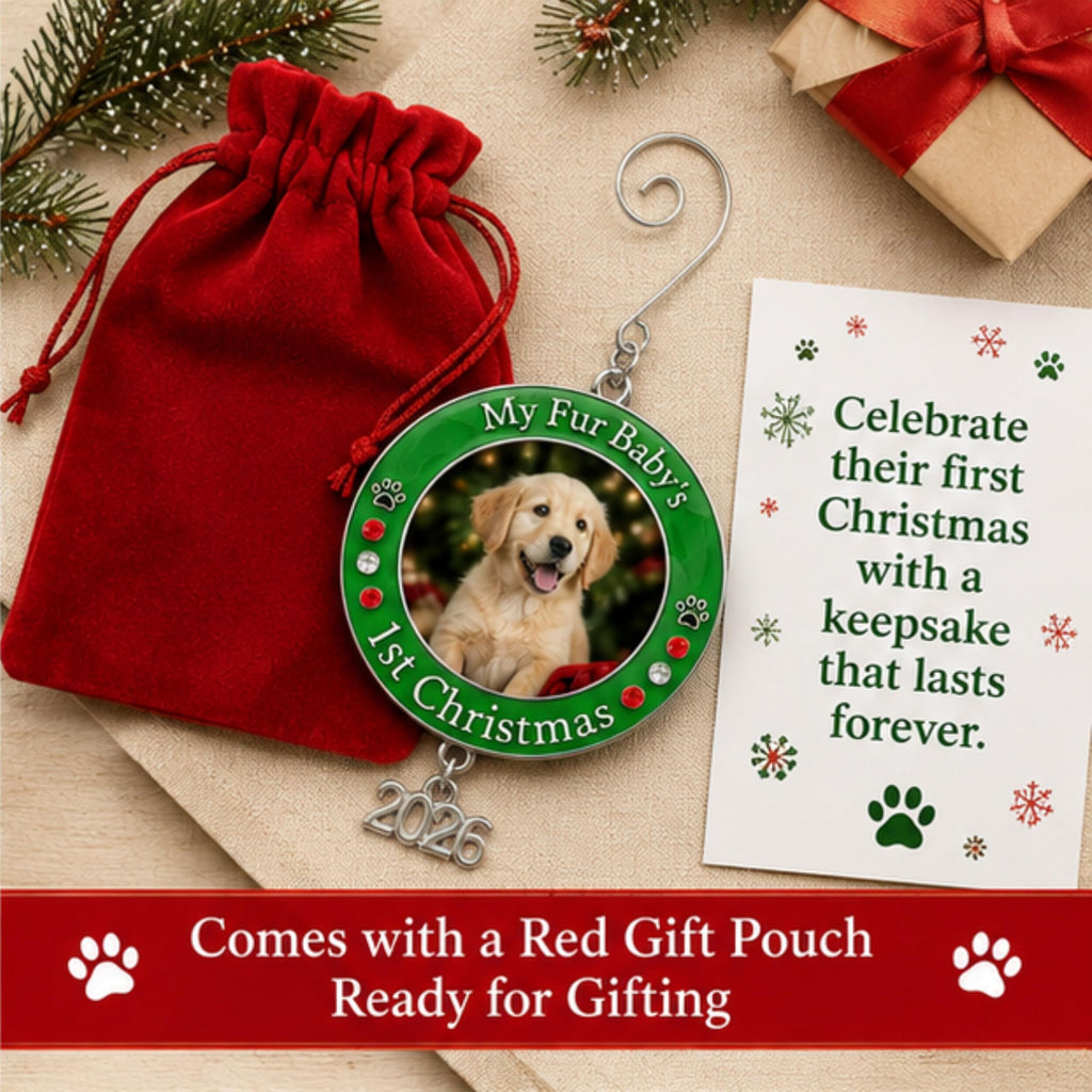 Dog Christmas Photo Ornament 3-Pack 3 Inch R70231