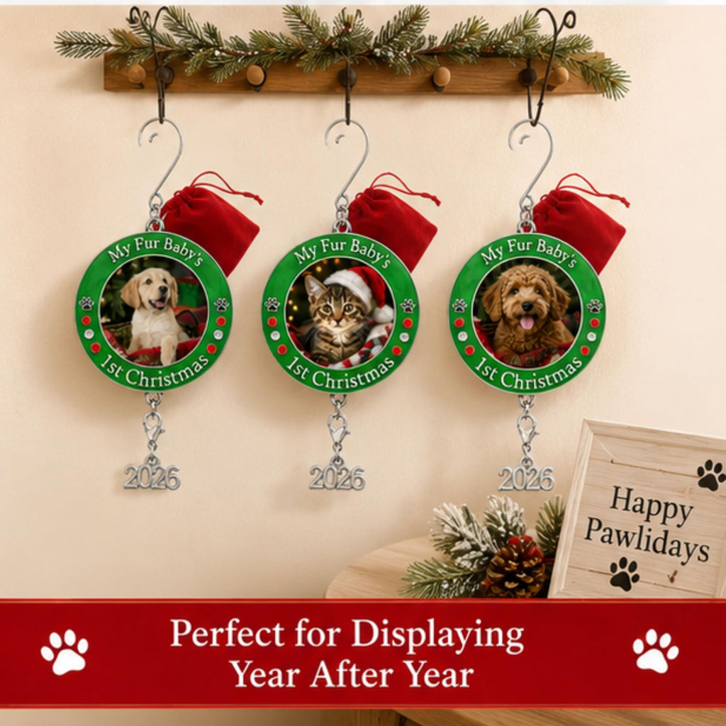 Dog Christmas Photo Ornament 3-Pack 3 Inch R70231