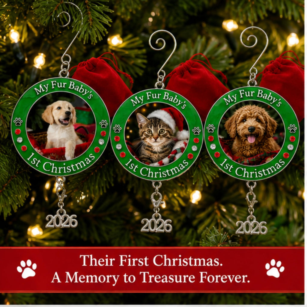Dog Christmas Photo Ornament 3-Pack 3 Inch R70231