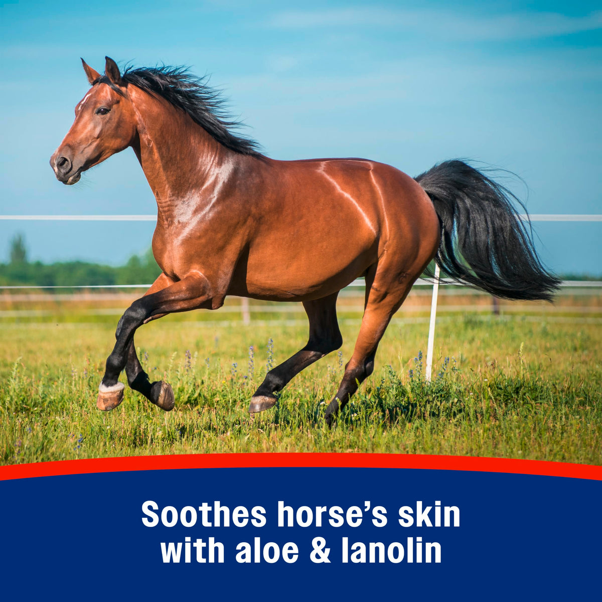 Mosquito Repellent Spray for Horses, 32 oz D849