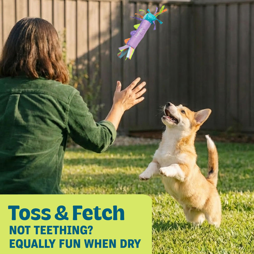 Cool Teething Stick Dental Dog Chew Toy N9226