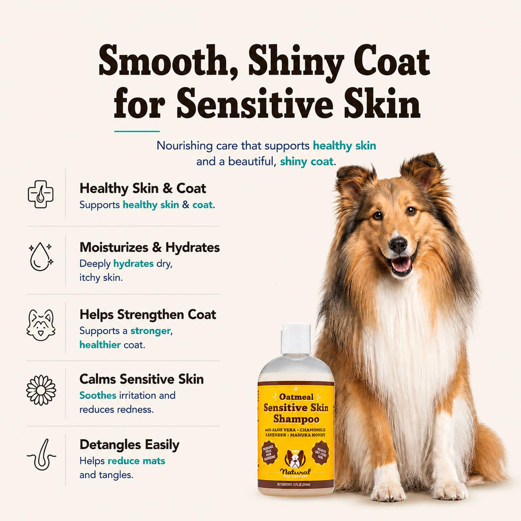Sensitive Skin Dog Shampoo 12 oz X12062