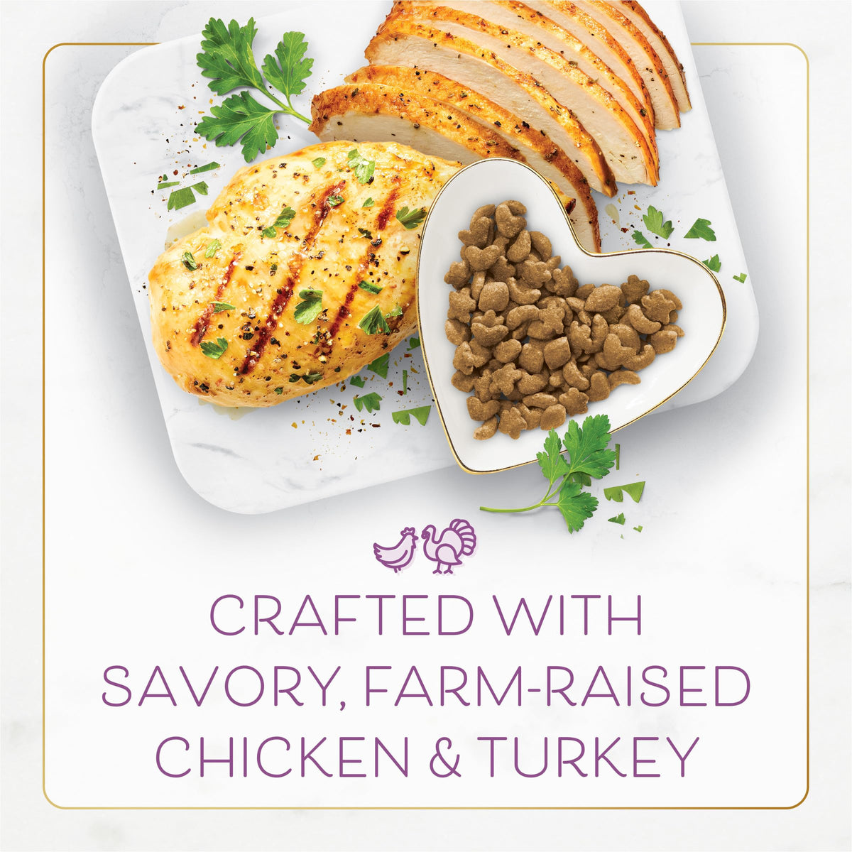 Chicken & Turkey Dry Cat Food 12lb Bag L46288