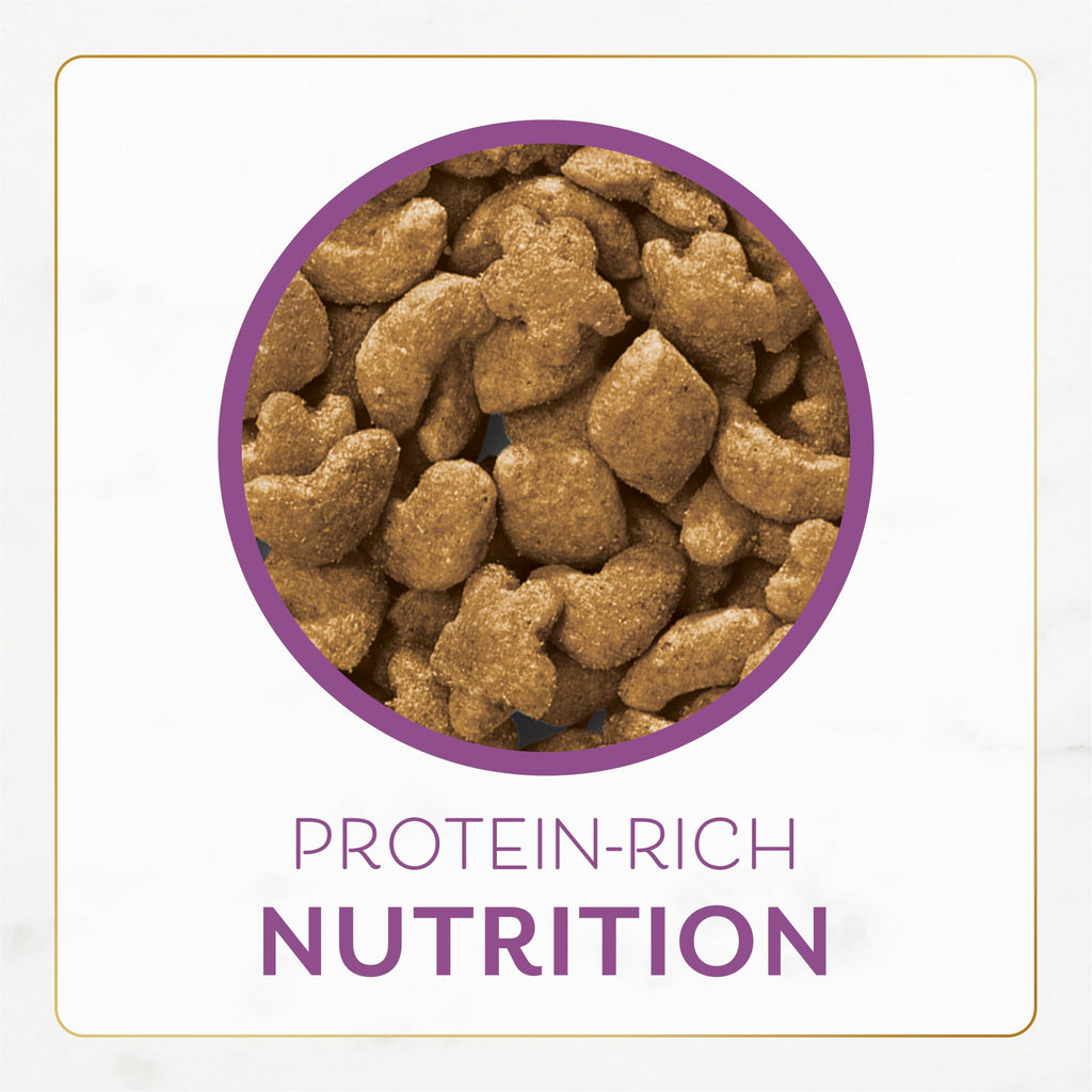 Chicken & Turkey Dry Cat Food 12lb Bag L46288
