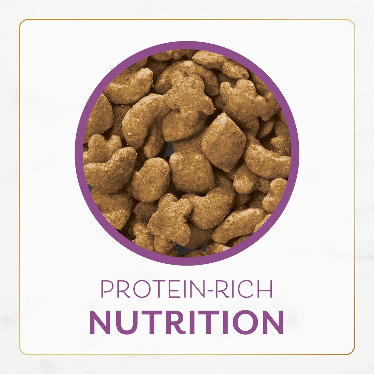 Chicken & Turkey Dry Cat Food 12lb Bag L46288