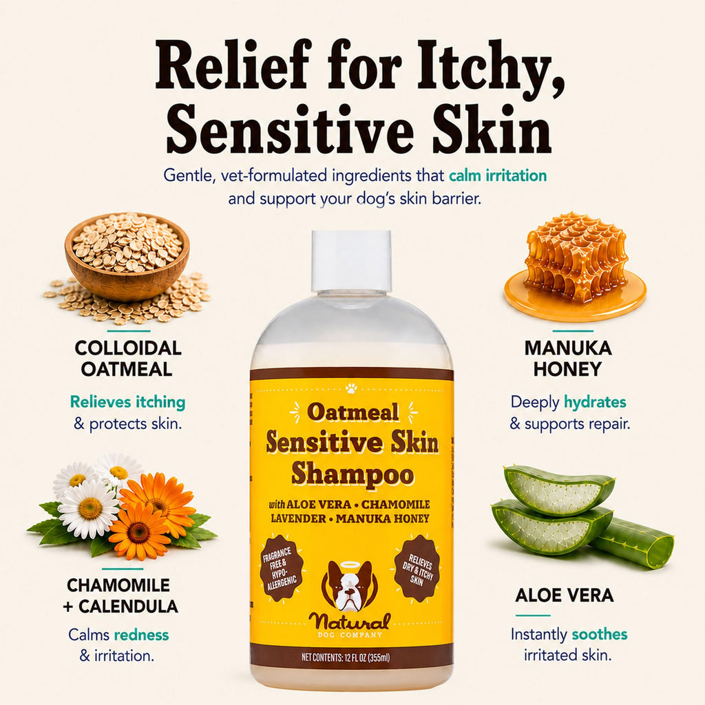 Sensitive Skin Dog Shampoo 12 oz X12062