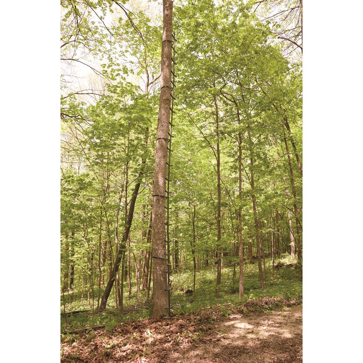Full Step Climbing Stick Ladder Y851