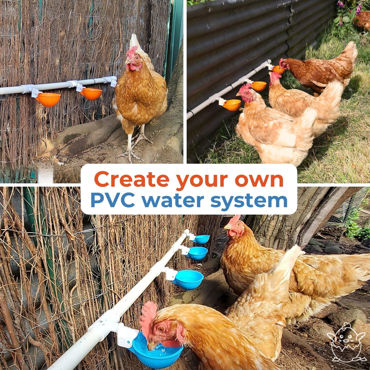 Large Automatic Chicken Waterer Cups with 1/2" PVC Tee Fittings 5-Pack I409029