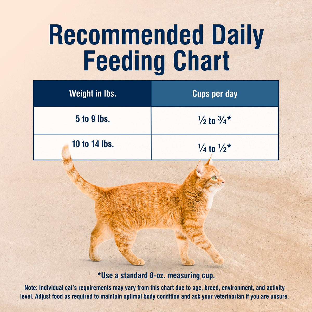 Chicken Dry Cat Food 3.5 lb C798
