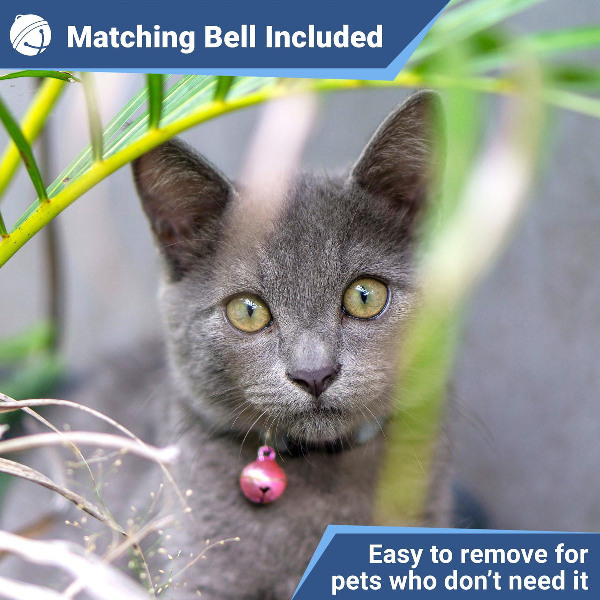 Reflective Breakaway Cat Collar L7627