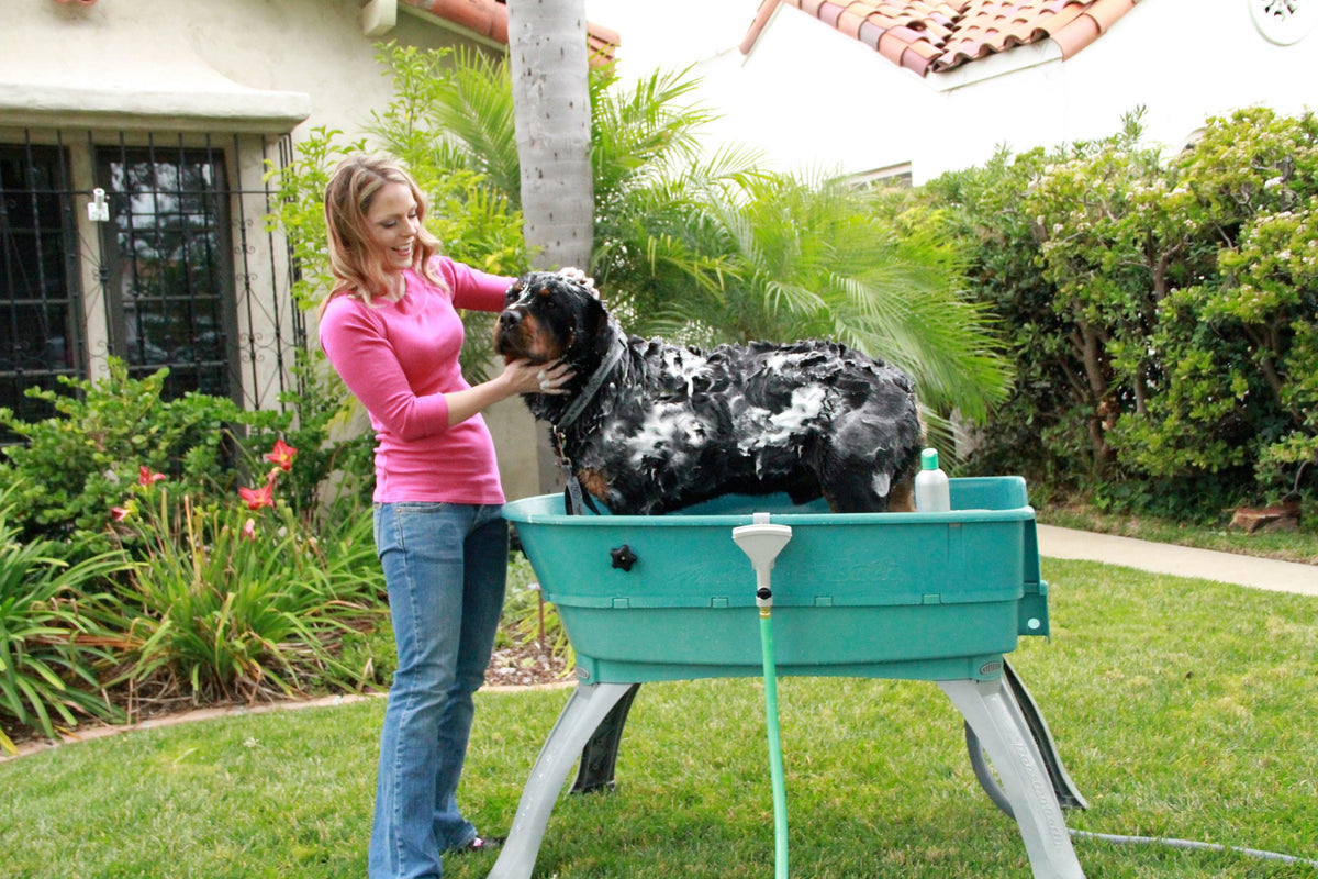 Elevated Pet Bathing Large M902