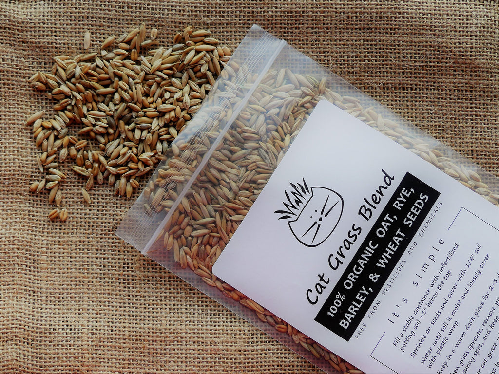 100% Organic Cat Grass Seed Mix, 4 Ounce K99677